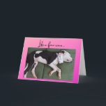 Funny Birthday dog met wijndoos Kaart<br><div class="desc">Vegas de zoete reddingshond heeft misschien andere smaken dan jij,  maar hij heeft een grote waardering voor een goede doos wijn! Stuur je wijnliefhebber een speciale kaart op hun speciale dag.</div>