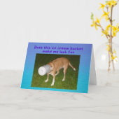 Funny Birthday Dog Stuck in Ice Cream Bucket Card Kaart (Gele Bloem)