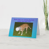 Funny Birthday Dog Stuck in Ice Cream Bucket Card Kaart (Voorkant)