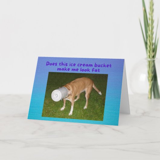 Funny Birthday Dog Stuck in Ice Cream Bucket Card Kaart (Voorkant)
