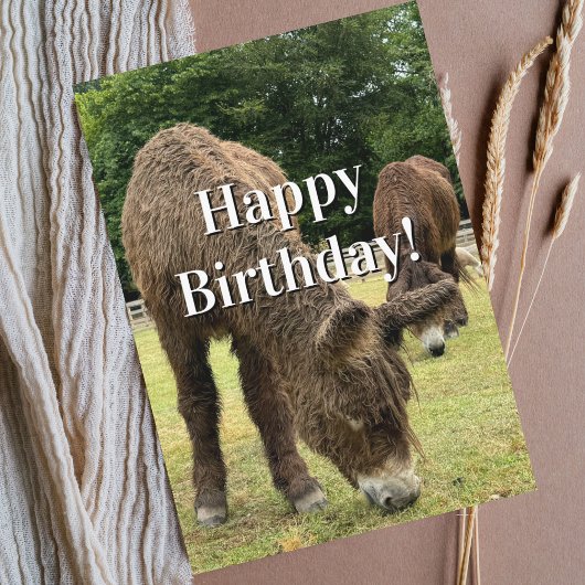Funny Birthday Donkey Farm Animal Cute Barnyard  Kaart
