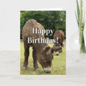 Funny Birthday Donkey Farm Animal Cute Barnyard  Kaart (Voorkant)