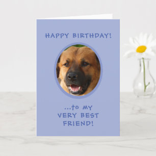 Funny Birthday From Dog To Owner Photo Card Kaart