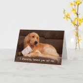 Funny Birthday Golden Retriever met ijsbox Kaart (Gele Bloem)