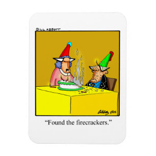 Funny Birthday Humor Magnet Gift Magneet