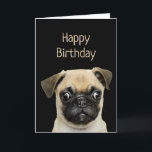 Funny Birthday Humor Pet, Pug Dog Kaart<br><div class="desc">Happy Birthday Pugs en Kisses en verjaardagswensen Cute waterverf Pug Dog</div>