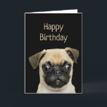 Funny Birthday Humor Pet, Pug Dog Kaart<br><div class="desc">Happy Birthday Pugs en Kisses en verjaardagswensen Cute waterverf Pug Dog</div>