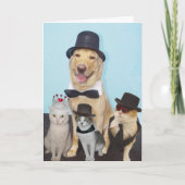 Funny Birthday Kaart (Voorkant)