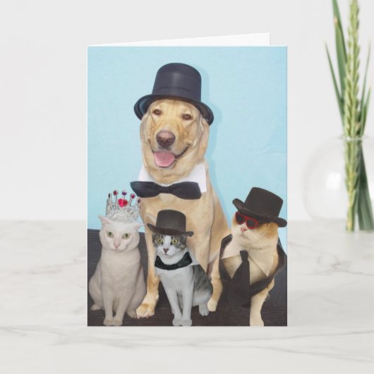 Funny Birthday Kaart (Voorkant)