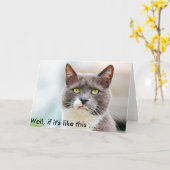 Funny Birthday-kaart met gruwelijke kat Kaart (Gele Bloem)