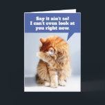Funny Birthday Kaart voor oude Geezer uit de kat<br><div class="desc">Deze oranje tabby is zo walgelijk, hij kan niet eens naar de verjaardagsjongen kijken.. Ik bedoel, verjaardagsgeezer. Het front zegt: "Zeg dat het niet zo is! Ik kan nu niet eens naar je kijken." De kaart gaat verder met: "Ik leef met een GEEZER! Vrolijk Birthday, ouwe fart." Een beetje ruw,...</div>