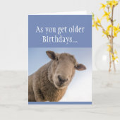 Funny Birthday kan echte Bull*&^% of Bullovine zij Kaart (Gele Bloem)