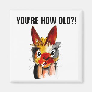 FUNNY BIRTHDAY MAGNETS, JE BENT HOE OUD?! MAGNEET