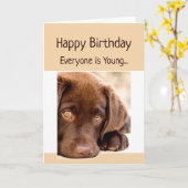 Funny Birthday Old Age Over the Hill Dog Kaart (Gele Bloem)