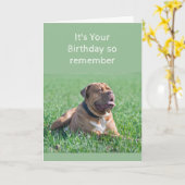 Funny Birthday Old & Wrinkly Dog Age Kaart (Gele Bloem)