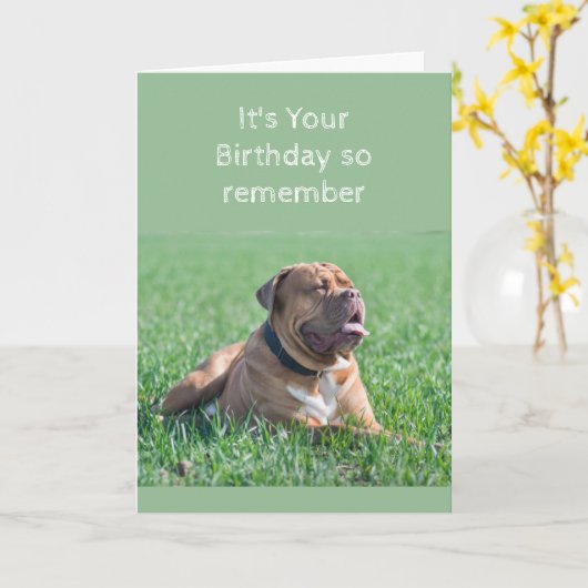 Funny Birthday Old & Wrinkly Dog Age Kaart (Gele Bloem)