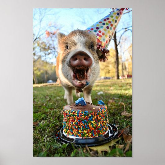 Funny Birthday Pig Poster (Voorkant)