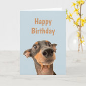 Funny Birthday Shocked Dog Animal Humor Kaart (Gele Bloem)