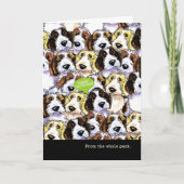 Funny Birthday van Group PBGV Dogs Kaart (Voorkant)