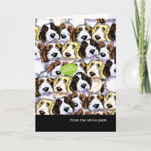 Funny Birthday van Group PBGV Dogs Kaart