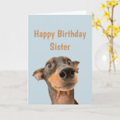 Funny Birthday Zuster Shocked Dog Animal Humor Kaart (Gele Bloem)