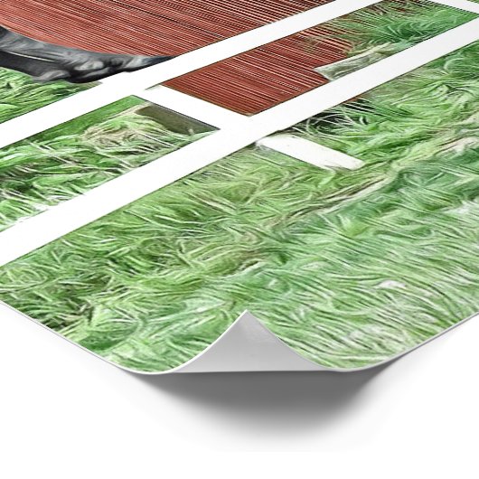 Funny Bison op de overdekte brug Poster (Hoek)