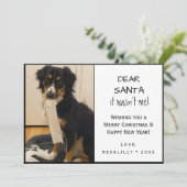 Funny Black and White Pet Paw Print Dog Feestdagenkaart (Staand voorkant)