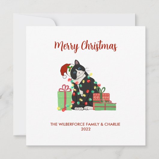 Funny Black Cat and Lights Kerstmis Feestdagenkaart (Voorkant)