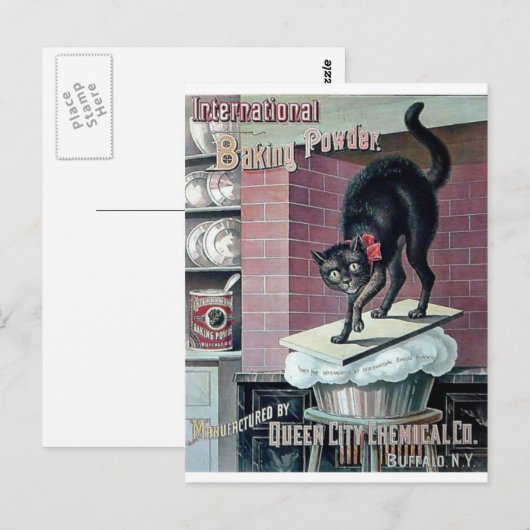 Funny black cat  bakpoeder poster en briefkaart (Voorkant / Achterkant)