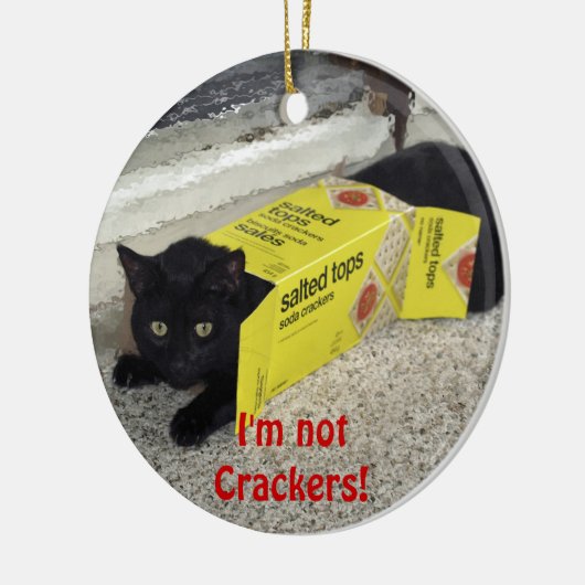 Funny Black Cat Holiday Ornament (Links)