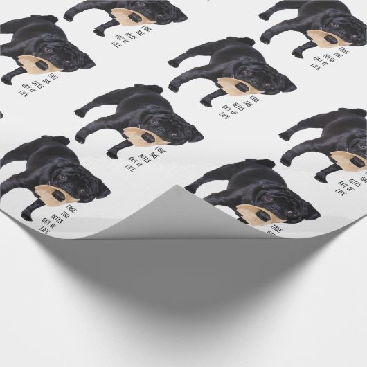 Funny Black Pug Haal grote bites uit het leven Cadeaupapier (Hoek)