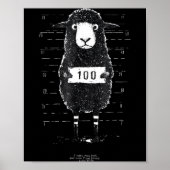 Funny Black Sheep Mugshot Lost But Found Humor Fun Poster (Voorkant)