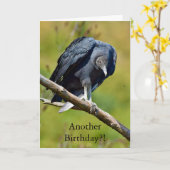Funny black vulture birthday card kaart (Gele Bloem)
