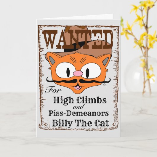 Funny Blank Inside Card Outlaw Cowboy Cat Kaart (Gele Bloem)