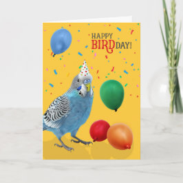 Funny Blue and White Budgie Parakeet Birthday Kaart