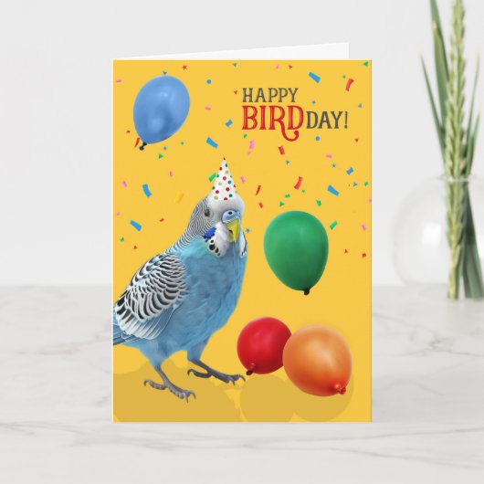 Funny Blue and White Budgie Parakeet Birthday Kaart (Voorkant)