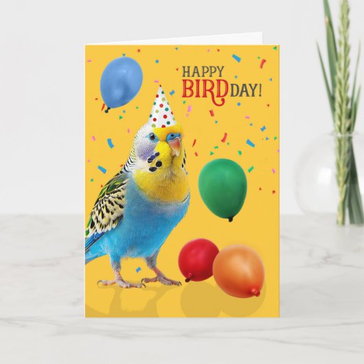 Funny Blue and Yellow Budgie Parakeet Birthday Kaart (Voorkant)