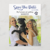 Funny Blue Text Save the Wedding Date with Dog Briefkaart (Voorkant)
