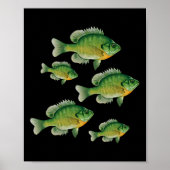Funny Bluegill Sunfish Fishing Freshwater Fish Ang Poster (Voorkant)
