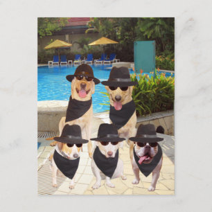  Funny Blues Dogs/Lab Invite Kaart