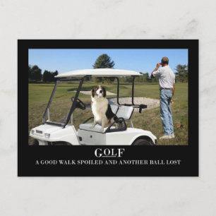 Funny Border Collie Dog Briefkaart, verloren bal Briefkaart