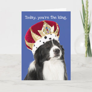 Funny Border Collie met Crown Vaderdag Kaart