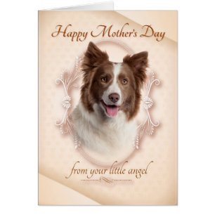 Funny Border Collie Moederdag Card