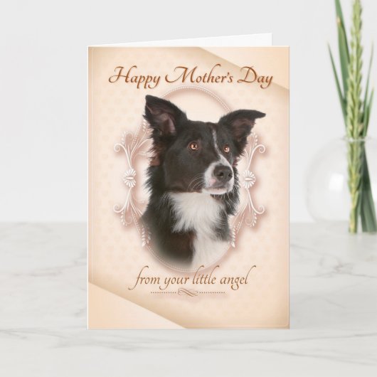 Funny Border Collie Moederdag Card Kaart (Voorkant)