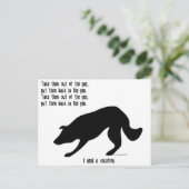 Funny border collie post card briefkaart (Staand voorkant)