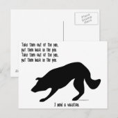 Funny border collie post card briefkaart (Voorkant / Achterkant)