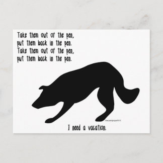 Funny border collie post card briefkaart