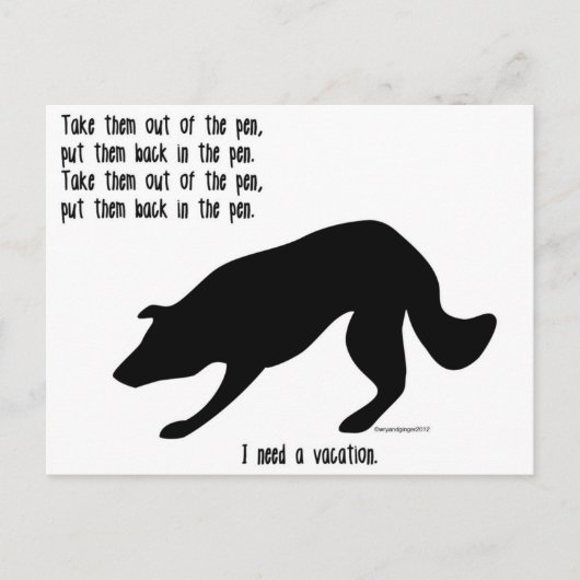 Funny border collie post card briefkaart (Voorkant)