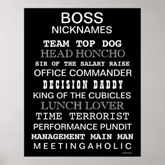 Funny Boss Nicknames Poster | Bodemregistratie (Voorkant)