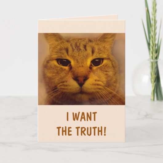 Funny Bossy Cat komt goed Kaart (Voorkant)